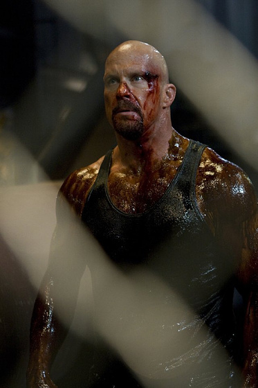 Steve Austin en Damage