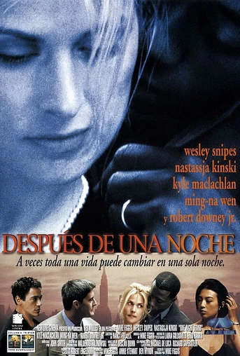 Poster de Después de una Noche