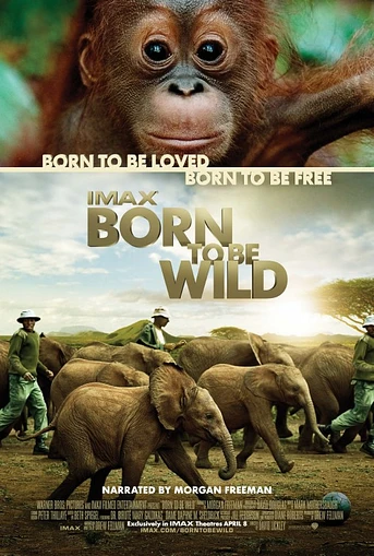 Poster de Born to Be Wild