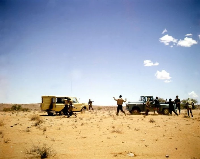 Imagen de safari-de-diamantes