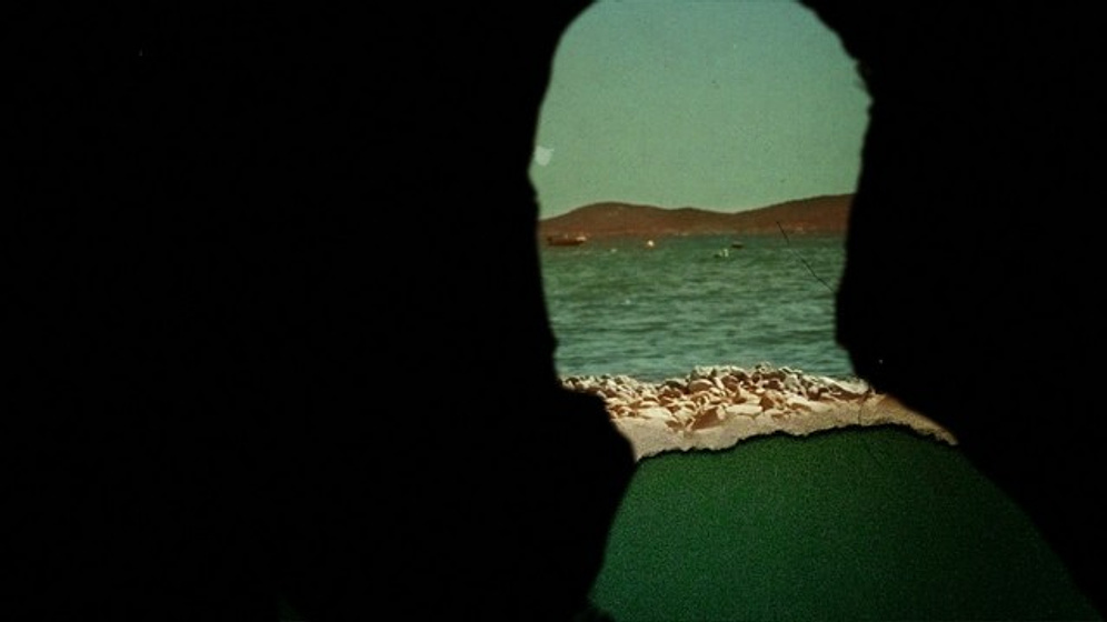 Imagen de Amnesiac on the Beach