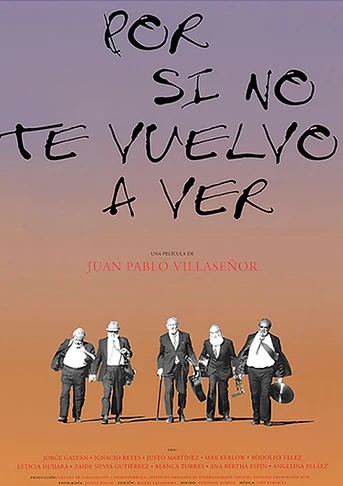Poster de Por si no te vuelvo a ver