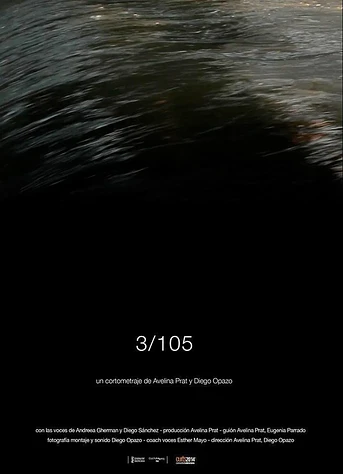 Poster de 3/105