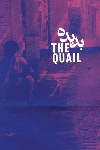 Poster de The Quail: The Tale of a Boy Who Asks