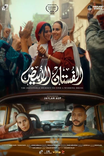Poster de The Inevitable Journey to find a wedding dress