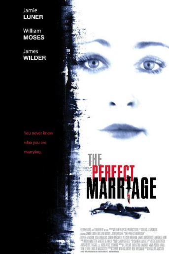 Poster de Matrimonio Perfecto