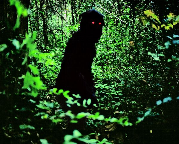 Imagen de Uncle Boonmee Recuerda sus Vidas Pasadas