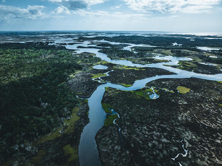 Imagen de Carbono Azul: El Poder Oculto de la Naturaleza