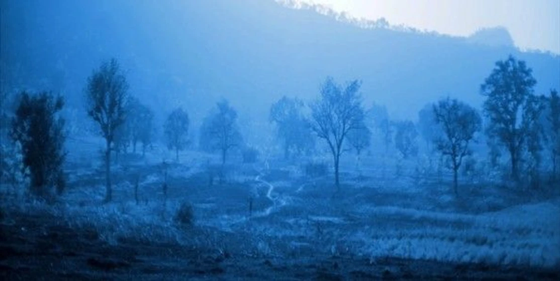 Imagen de blue-bird