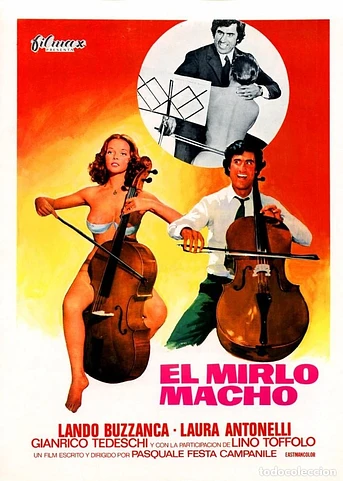 Poster de El mirlo macho