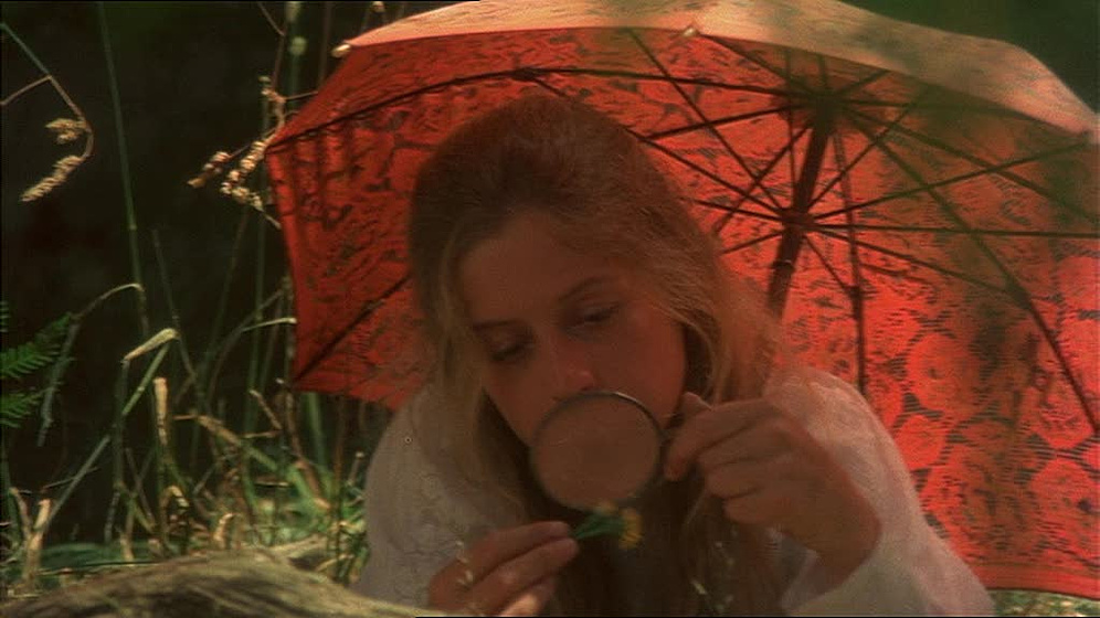 Imagen de Picnic en Hanging Rock