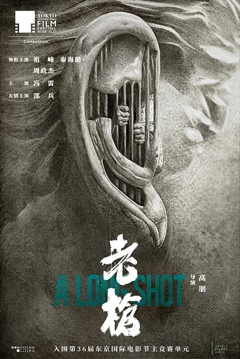 Poster de A Long Shot