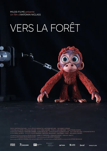 Poster de Into the Forest