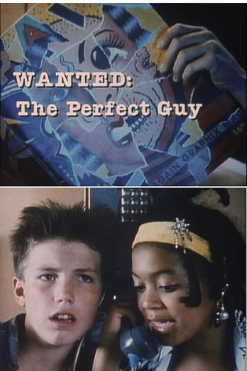 poster of content Wanted: The Perfect Guy