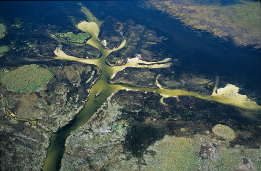 Imagen de Tierra