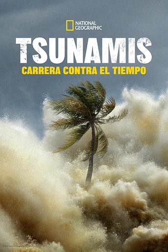Poster de Tsunami: Carrera contra el Tiempo