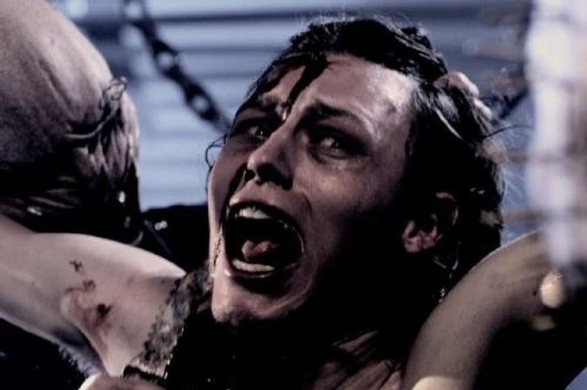 Imagen de hellraiser-revelations