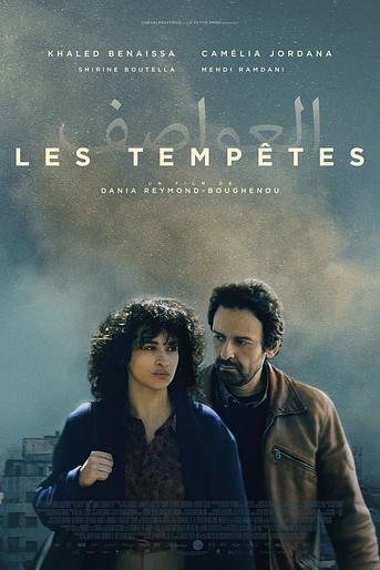 Poster de Silent Storms