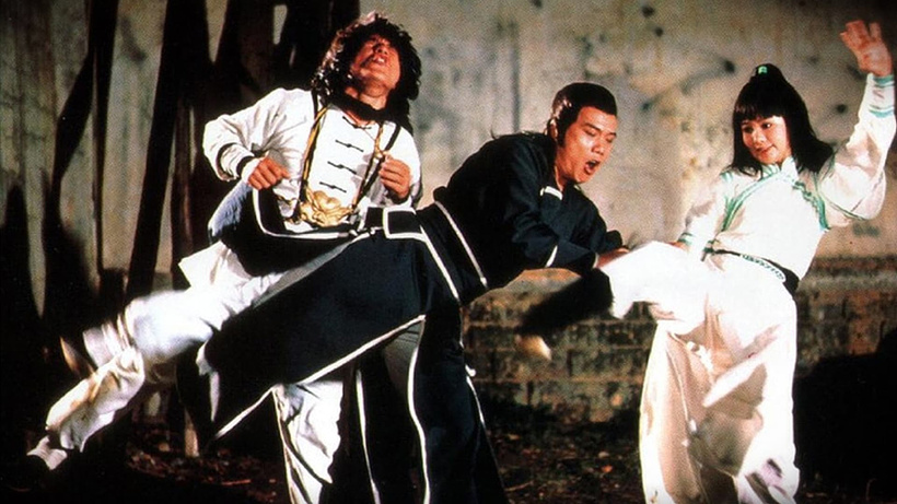 Imagen de El Aprendiz de Kung-Fu