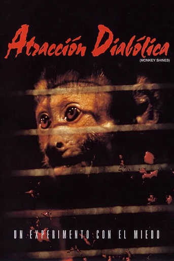 Poster de Atracción Diabólica