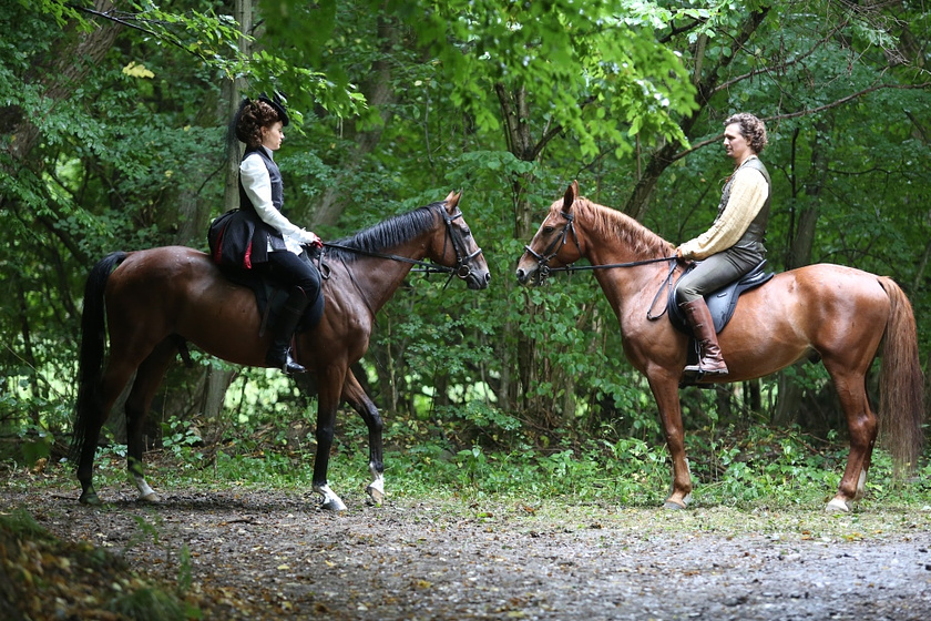 Imagen de Kincsem: Magnífico Tesoro