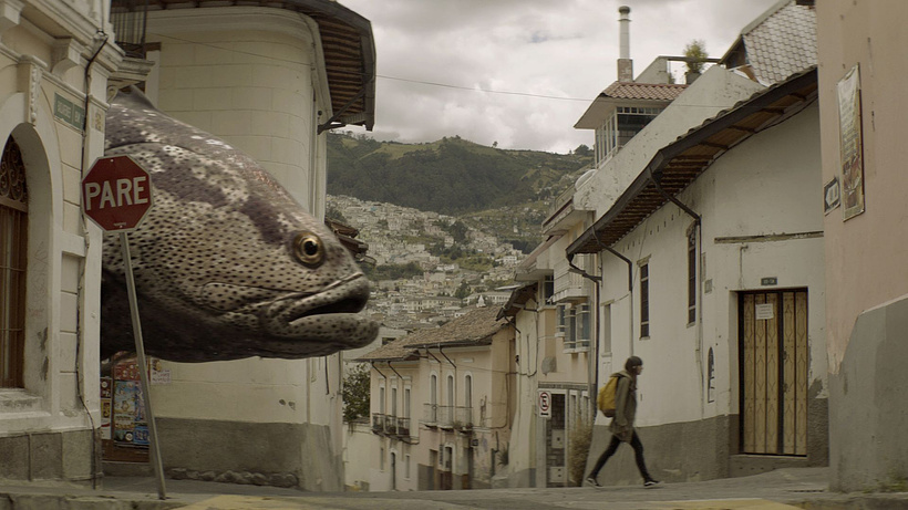 Imagen de Fishgirl