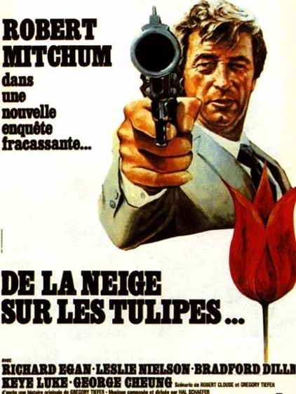 Imagen de Organización Amsterdam (Cartel francés)