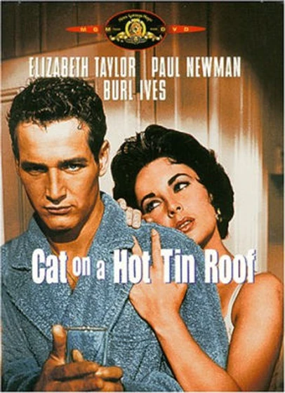 Imagen de la-gata-sobre-el-tejado-de-zinc (Carátula DVD Inglés)