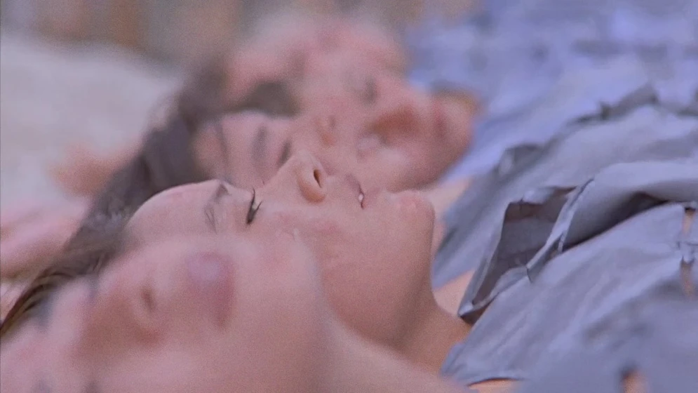 Imagen de the-bamboo-house-of-dolls