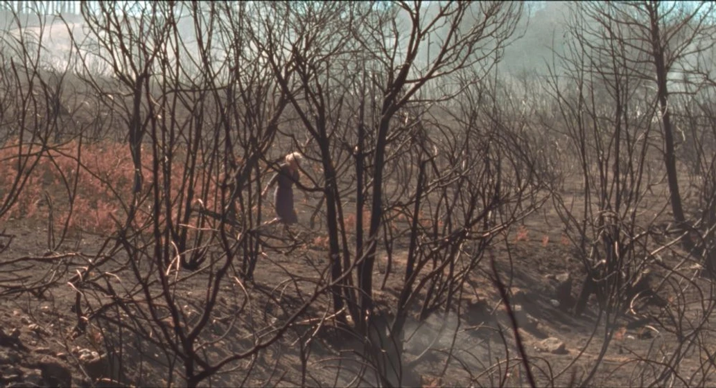 Imagen de lo-que-arde