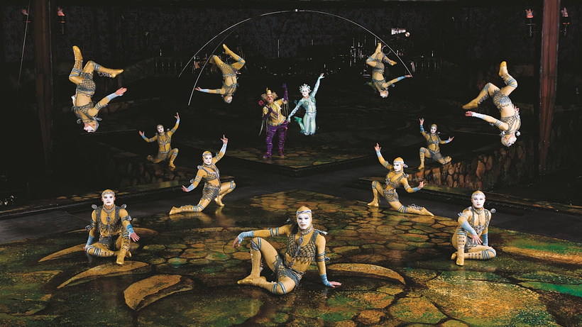 Imagen de Cirque du Soleil: Alegria