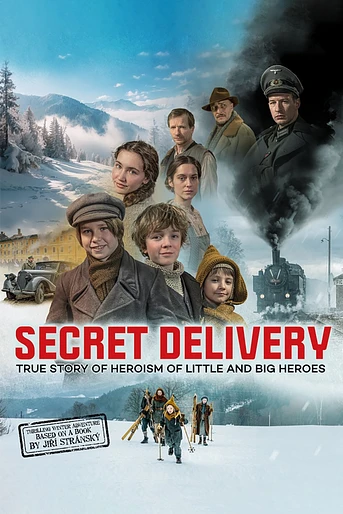 Poster de Secret Delivery