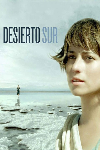 poster of content Desierto sur