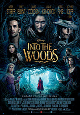 poster of movie Into the Woods