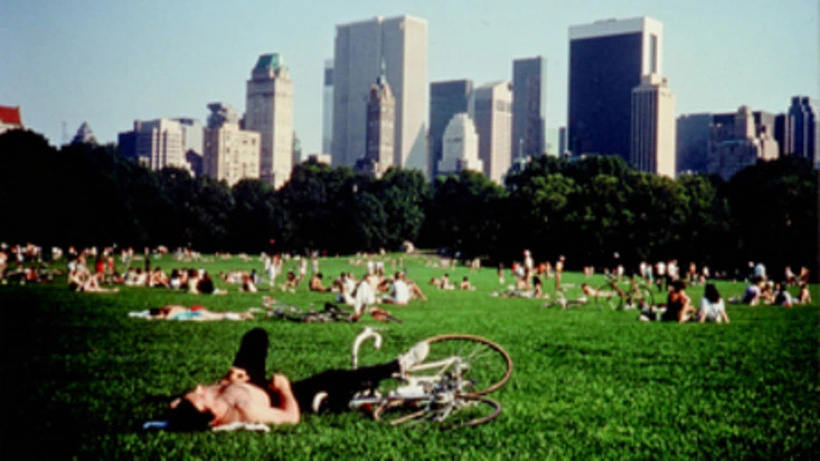 Imagen de Central Park