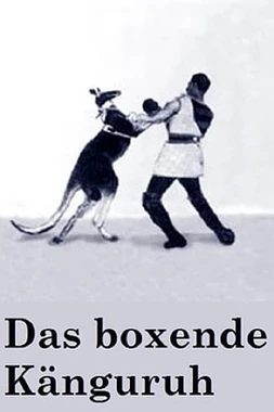 poster of movie Mr. Delaware and the Boxing Kangaroo