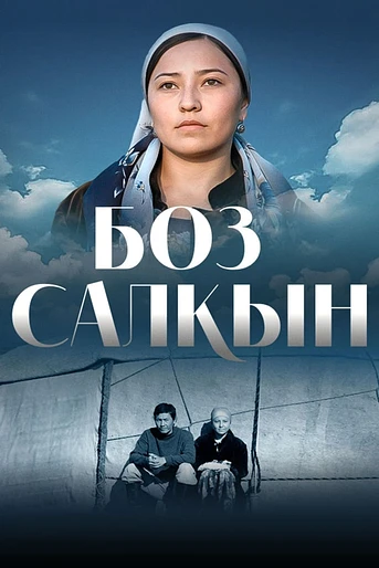 Poster de Boz salkyn