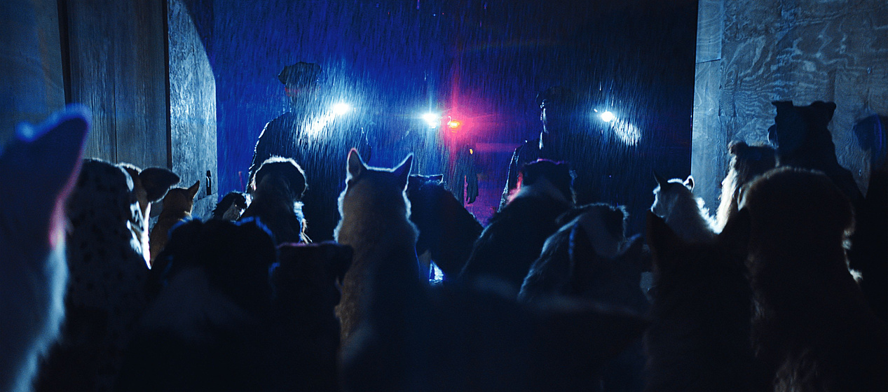 Imagen de Dogman