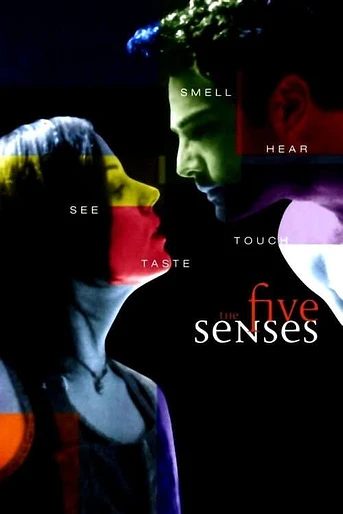 Poster de Los cinco sentidos