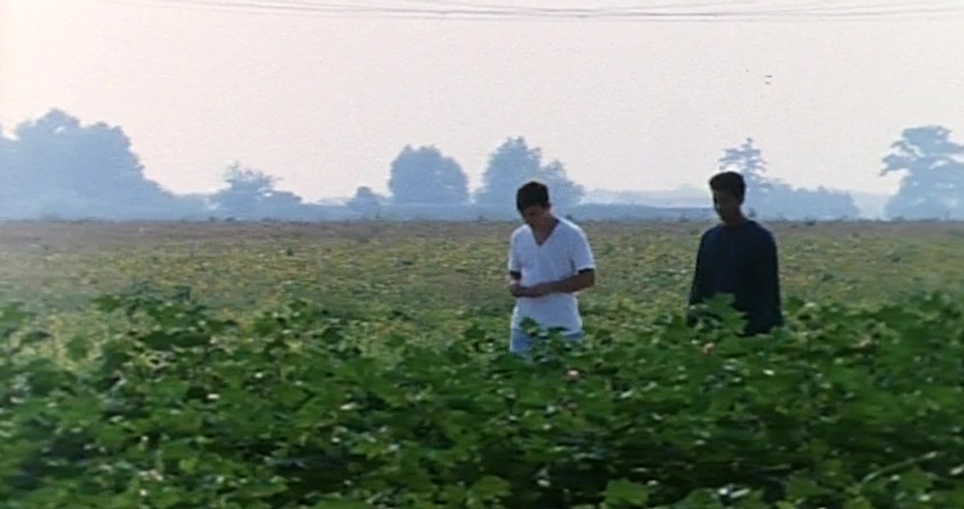 Imagen de The Delta