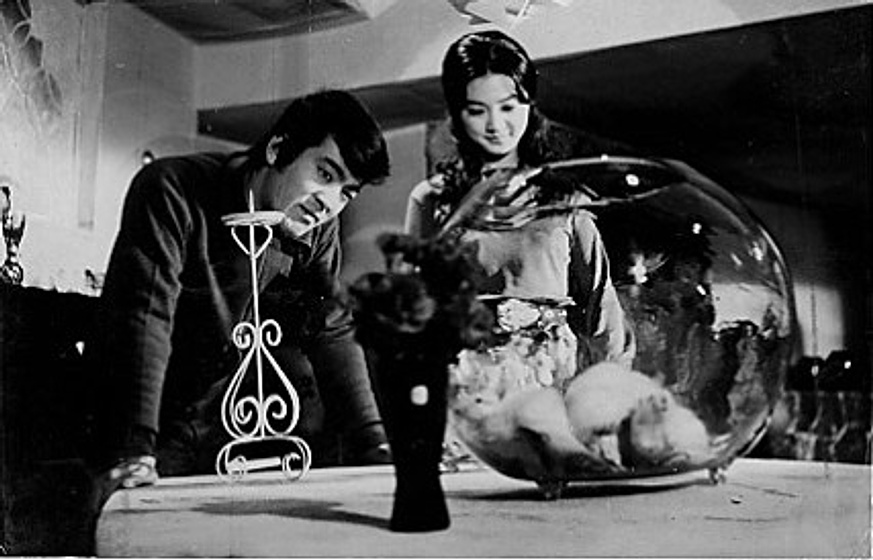 Kung-won Nam y Yuh-Jung Youn en the-insect-woman