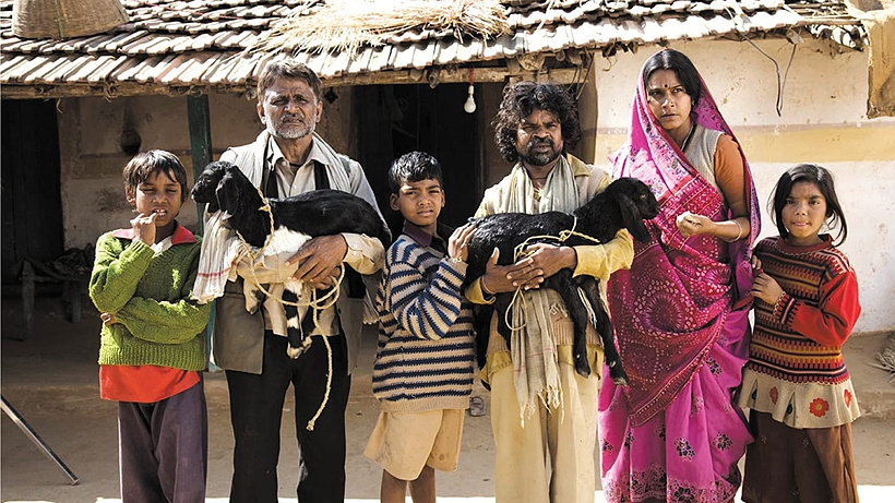 Imagen de Peepli Live