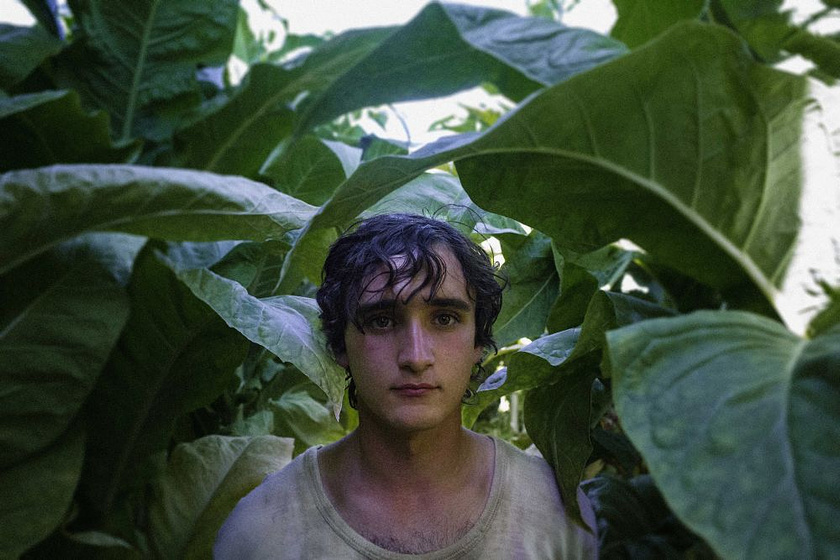 Adriano Tardiolo en Lazzaro Feliz