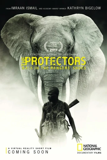 Poster de The Protectors