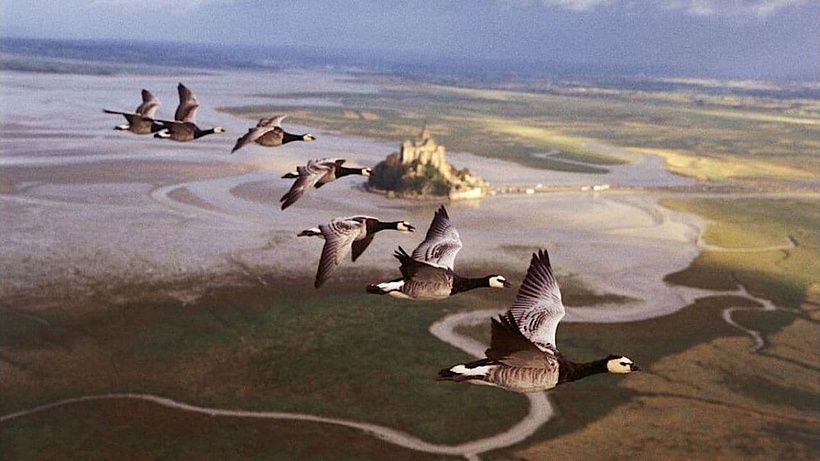 Imagen de Nómadas del Viento