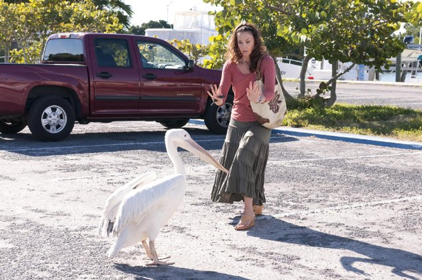 Ashley Judd en La Gran aventura de Winter el delfín