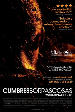 poster of movie Cumbres Borrascosas