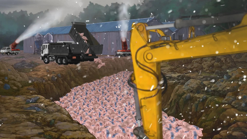 Imagen de Pig that Survived Foot-and-Mouth Disease