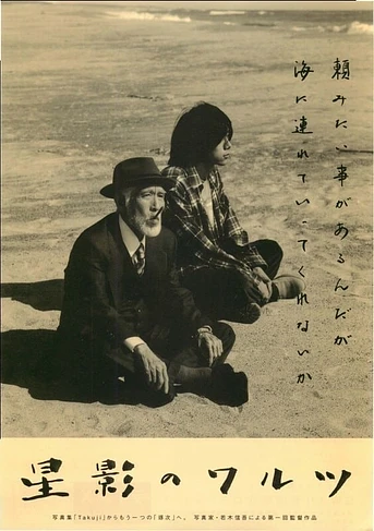 Poster de Waltz in starlight