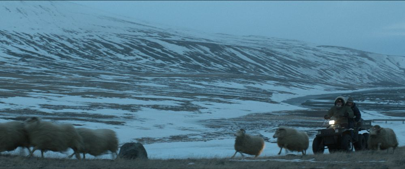 Imagen de Rams: El Valle de los carneros
